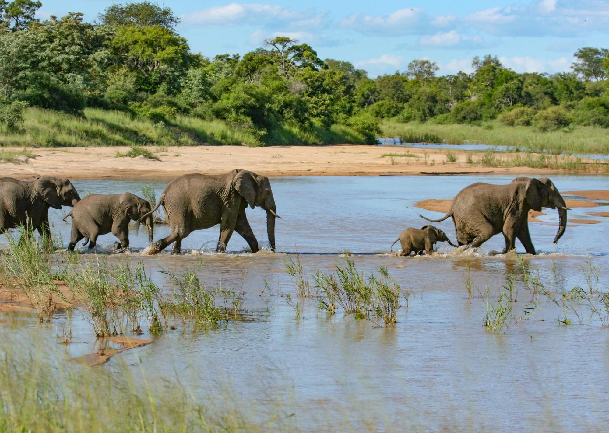Mjejane Bush Camp By Dream Resorts Hectorspruit Exteriör bild