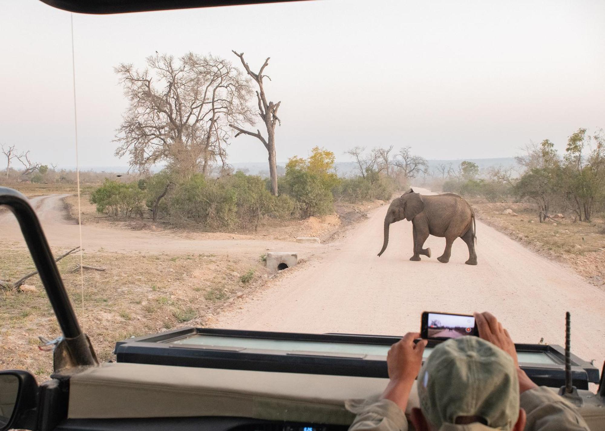 Mjejane Bush Camp By Dream Resorts Hectorspruit Exteriör bild