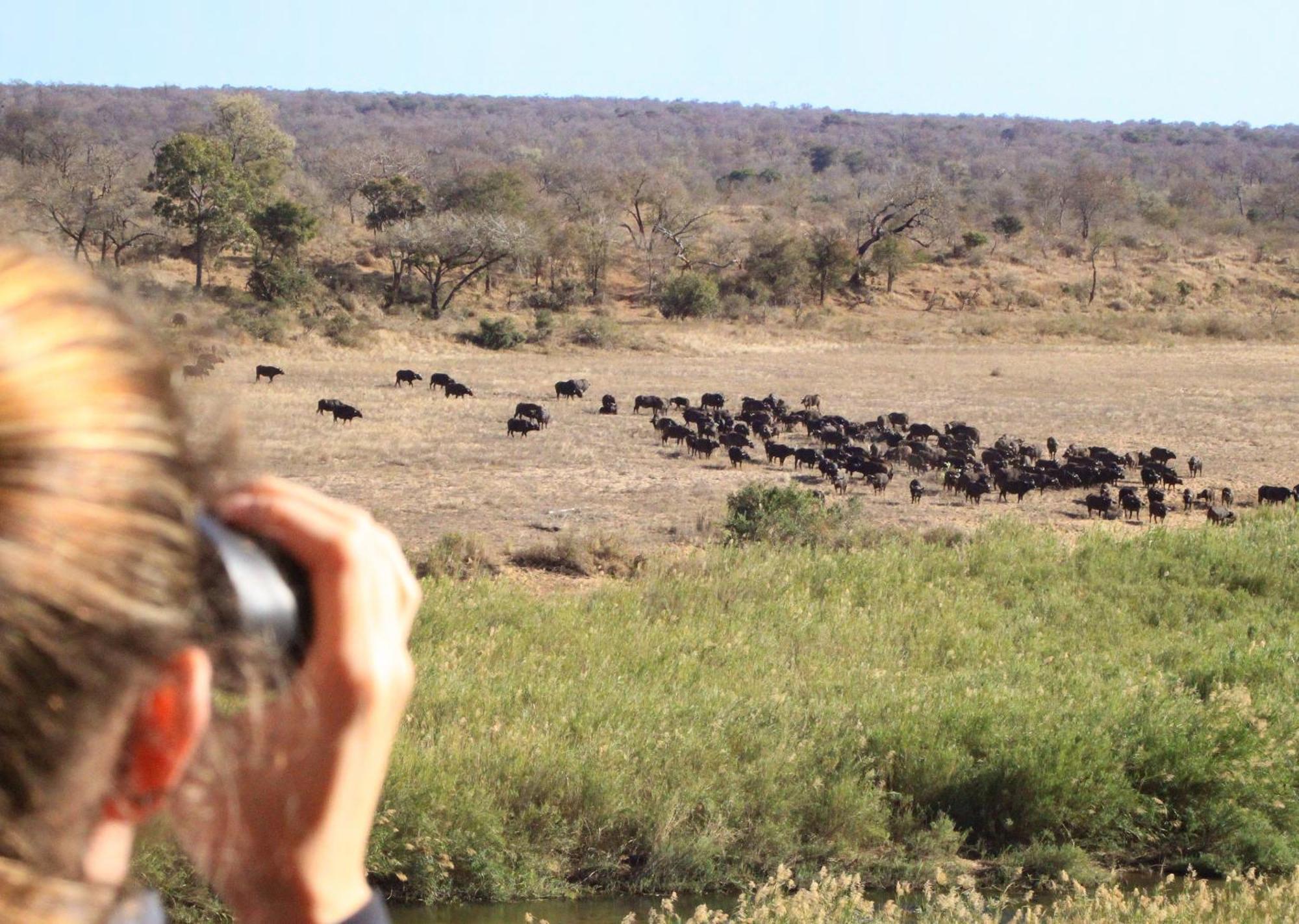 Mjejane Bush Camp By Dream Resorts Hectorspruit Exteriör bild