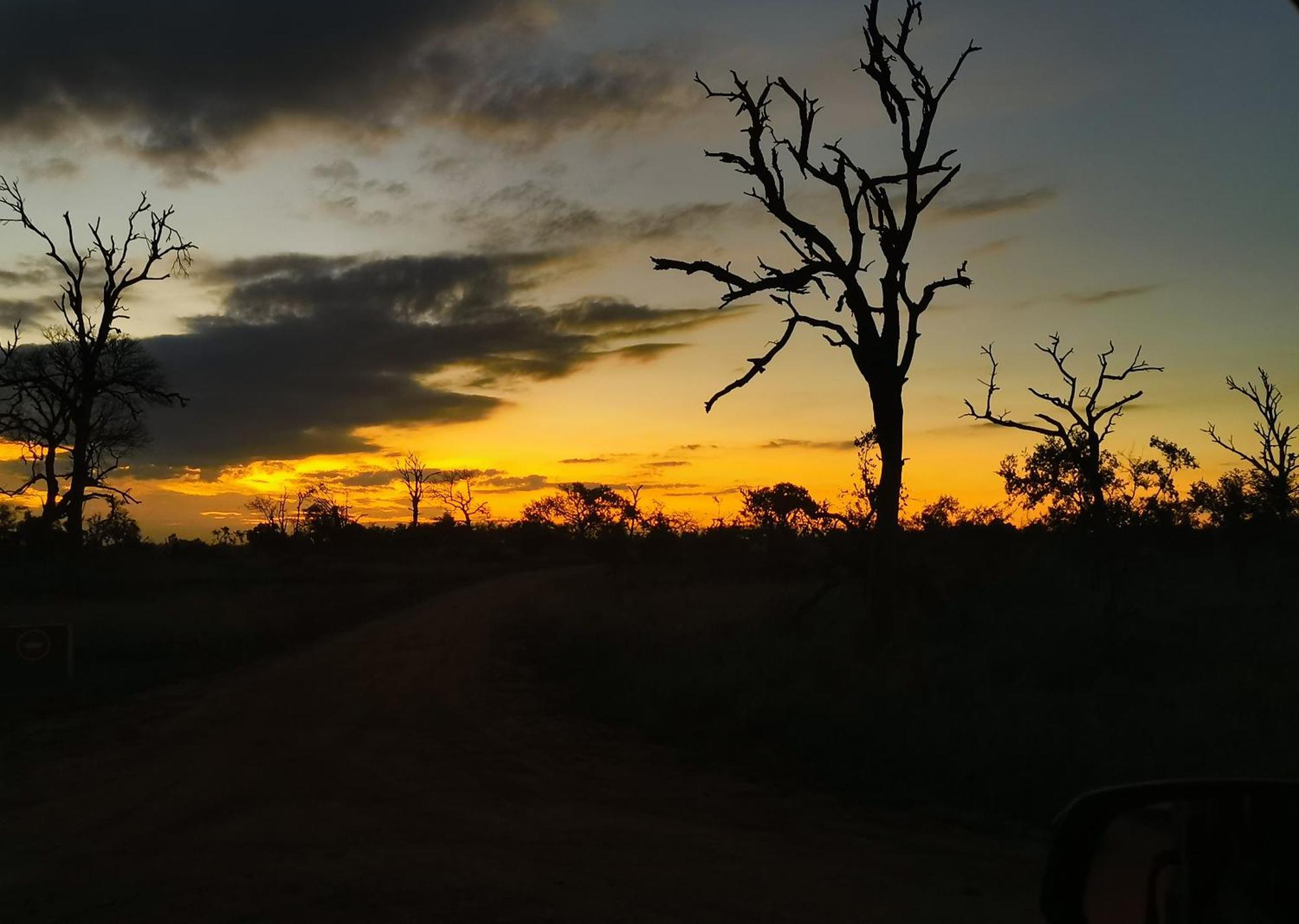 Mjejane Bush Camp By Dream Resorts Hectorspruit Exteriör bild