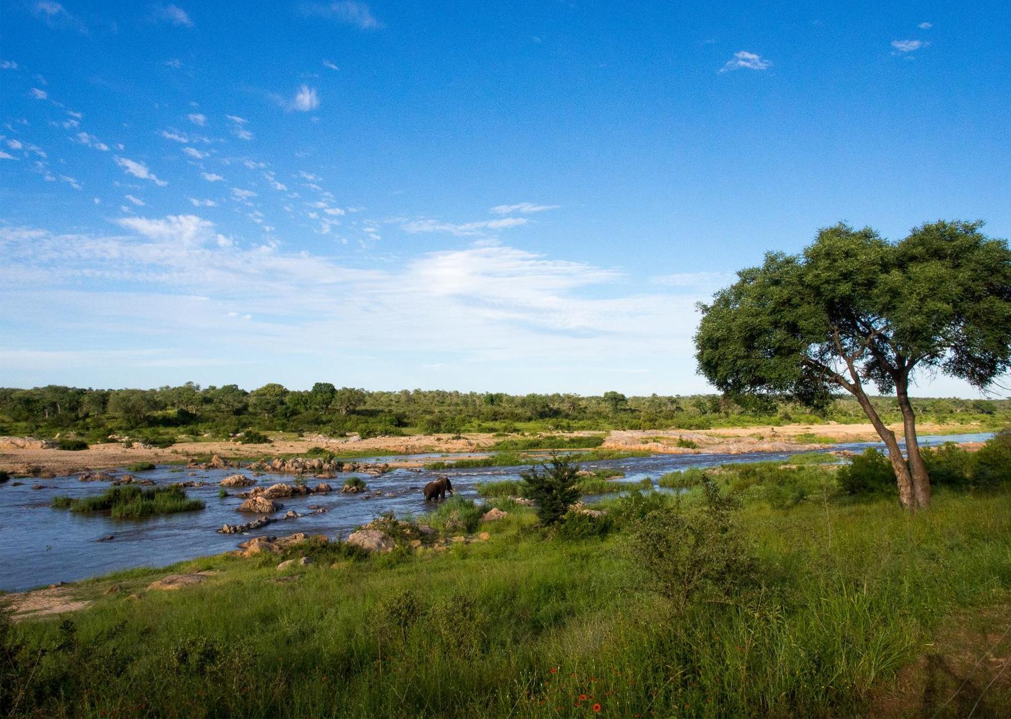 Mjejane Bush Camp By Dream Resorts Hectorspruit Exteriör bild