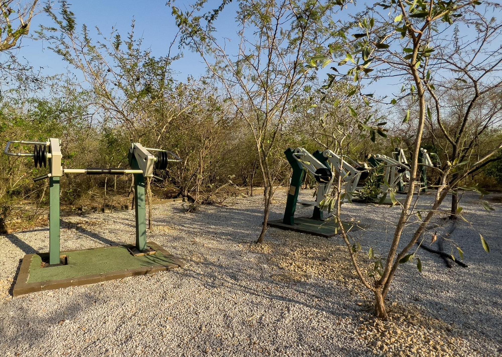 Mjejane Bush Camp By Dream Resorts Hectorspruit Exteriör bild